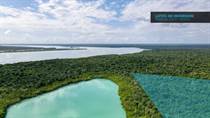 Lots and Land for Sale in Buena Vista, Bacalar, Quintana Roo $51,374