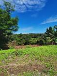 Lots and Land for Sale in Downtown, Quepos, Puntarenas $775,000
