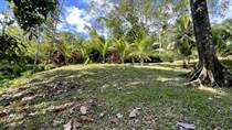 Lots and Land for Sale in Uvita, Ojochal , Puntarenas $110,000