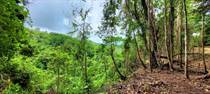 Lots and Land for Sale in Uvita Hills, Uvita, Puntarenas $190,000