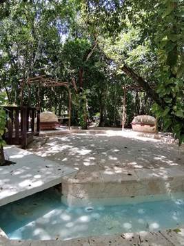 Land for sale in Federal Highway Cancun-Tulum