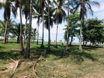 Commercial Real Estate for Sale in Playa Palo Seco, Puntarenas $150,000