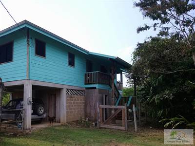 Home with 6.8 Acres on Belize River 