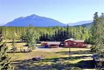 Homes for Sale in Valemount, British Columbia $1,149,000