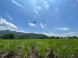 Farms and Acreages for Sale in Escobal, Atenas, Alajuela $6,500,000