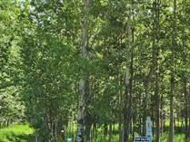 Lots and Land for Sale in Buck Lake, Alberta $140,000