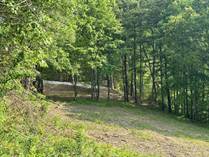 Lots and Land for Sale in Wolfe County, Pine Ridge , Kentucky $250,000