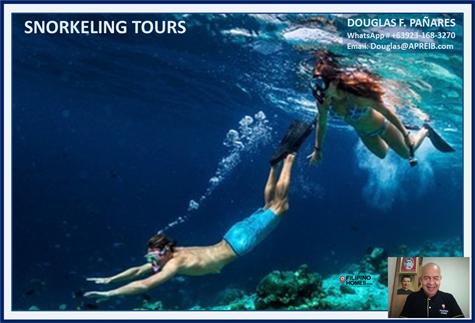 15. Snorkeling Tours
