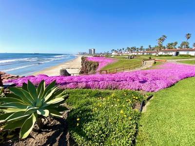 La Paloma Beach Resort, Suite 541, Playas de Rosarito, Baja California