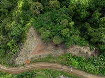 Lots and Land for Sale in Ojochal, Puntarenas $230,000