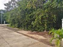 Lots and Land for Sale in Playa del Carmen, Quintana Roo $37,028