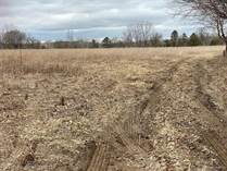 Lots and Land for Sale in Ann Arbor, Michigan $999,999