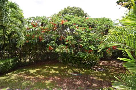Barbados Luxury Elegant Properties Realty - garden.