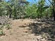 Lots and Land for Sale in Junquillal, Guanacaste $600,000