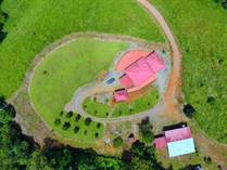 Farms and Acreages for Sale in Volcan, Volcan (Buenos Aires) , Puntarenas $1,300,000