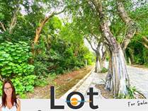 Lots and Land for Sale in Fraccionamiento, Puerto Morelos, Quintana Roo $150,000