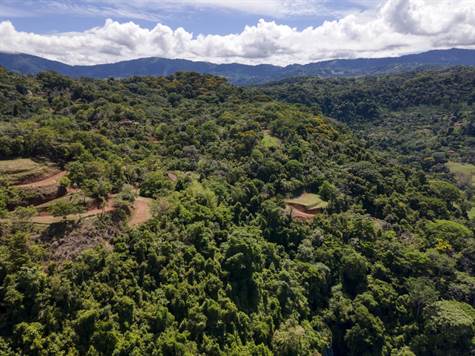Costa Rica Real Estate - Farms 