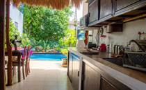 Homes for Sale in Downtown Playa del Carmen, Playa del Carmen, Quintana Roo $5,500,000