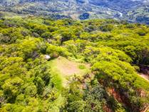 Farms and Acreages for Sale in Dominical, Puntarenas $1,700,000