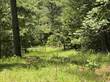 Lots and Land for Sale in Arkansas, Story, Arkansas $49,900