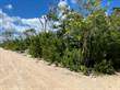 Lots and Land for Sale in Region 11, Tulum, Quintana Roo $1,000,000