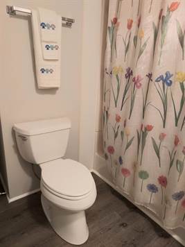 Walk-in Shower, New Commode