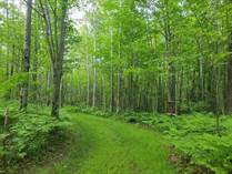 Lots and Land for Sale in Beaverton, Michigan $54,900