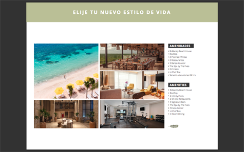 Puerto Morelos Real Estate Ocean Front Loft for Sale  in the Amazing Condo Hotel The Fives Puerto Morelos