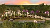 Homes for Sale in Kikteil, Merida, Yucatan $27,300
