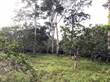 Lots and Land for Sale in Frank's Eddy Village, Cayo $75,000