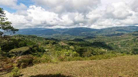 Costa Rica Real Estate Farms 