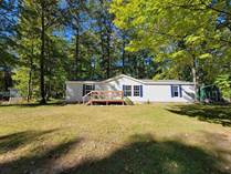 Homes for Sale in Michigan, Roscommon, Michigan $129,500