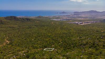 LOOKING FOR A NOT EXPENSIVE LAND TO BUILD YOUR HOME? Land for sale in Cabo San Lucas El Tezal
