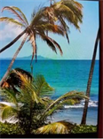 Condos for Sale in Beach Village, Palmas del Mar, Puerto Rico $300,000