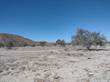 Lots and Land for Sale in Ejido Plan National, San Felipe, Baja California $15,000