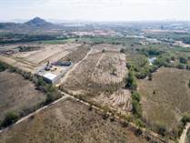 Lots and Land for Sale in El Venadillo, Mazatlan, Sinaloa $18,000,000