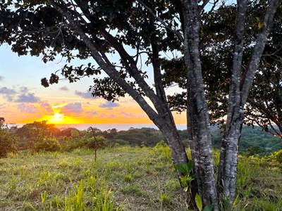 3.98 Acres, Ocean View Property In Finca Maranon With Legal Water!