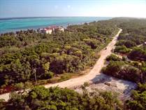 Lots and Land for Sale in Habaneros , Ambergris Caye, Belize $99,999