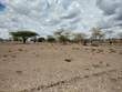 Lots and Land for Sale in Athi River KES750,000
