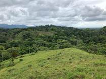 Lots and Land for Sale in Quepos, Puntarenas $3,100,000