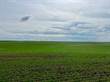 Farms and Acreages Sold in Eastend, Climax, Saskatchewan $1,340,000