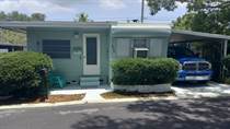 Homes for Sale in Unnamed Areas, Clearwater, Florida $24,500