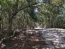 Homes for Sale in Coba, Quintana Roo $10,539