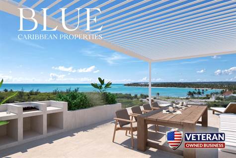 CAP CANA REAL ESTATE - MARVELOUS PROJECT OF CONDOS AT CAP CANA - ROOF TOP