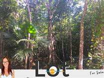 Lots and Land for Sale in Central Vallarta, Puerto Morelos, Quintana Roo $70,000
