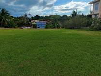 Lots and Land for Sale in Carr. 414, Aguada, Puerto Rico $75,000