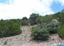 Lots and Land for Sale in New Mexico, Mimbres, New Mexico $22,000