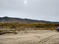 Homes for Sale in Valle de Guadalupe, Ensenada, Baja California $7,740,000