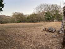 Lots and Land for Sale in Carrillo, Guanacaste $781,710