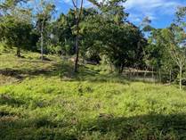 Farms and Acreages for Sale in Hone Creek, Carbon Uno, Limón $16,000
